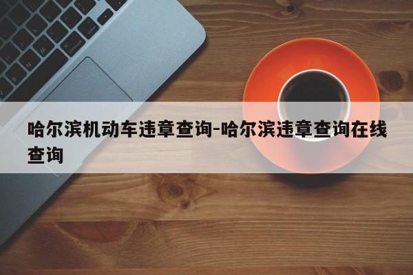 哈尔滨机动车违章查询-哈尔滨违章查询在线查询