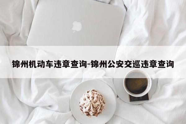 锦州机动车违章查询-锦州公安交巡违章查询