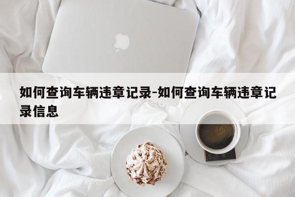 如何查询车辆违章记录-如何查询车辆违章记录信息