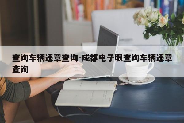 查询车辆违章查询-成都电子眼查询车辆违章查询