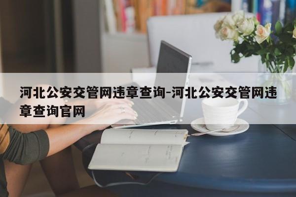 河北公安交管网违章查询-河北公安交管网违章查询官网