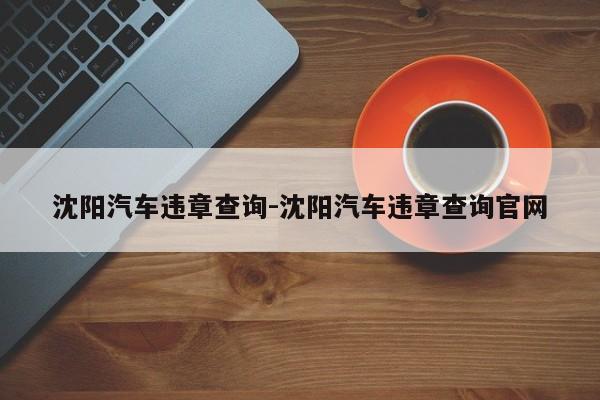 沈阳汽车违章查询-沈阳汽车违章查询官网