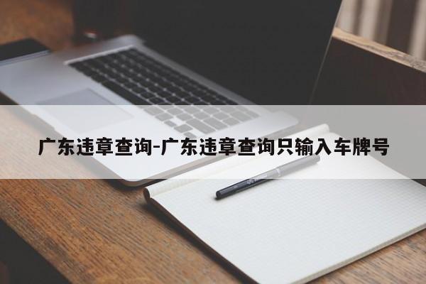 广东违章查询-广东违章查询只输入车牌号