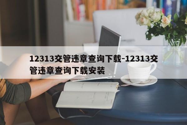 12313交管违章查询下载-12313交管违章查询下载安装