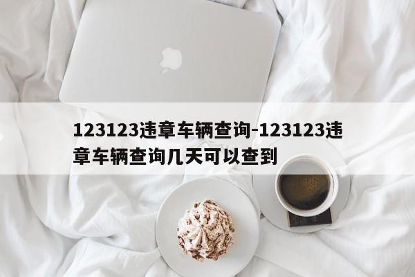 123123违章车辆查询-123123违章车辆查询几天可以查到