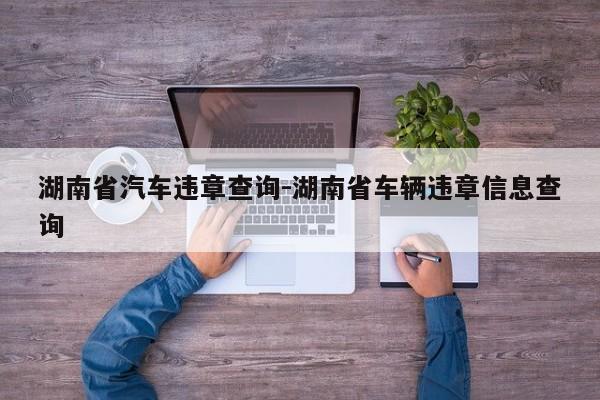 湖南省汽车违章查询-湖南省车辆违章信息查询