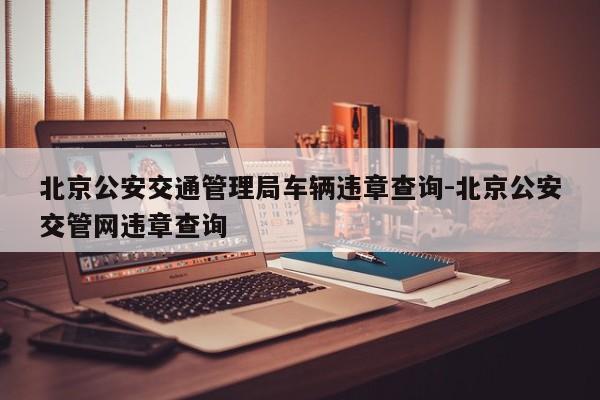 北京公安交通管理局车辆违章查询-北京公安交管网违章查询