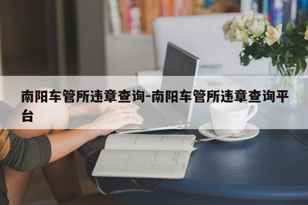 南阳车管所违章查询-南阳车管所违章查询平台