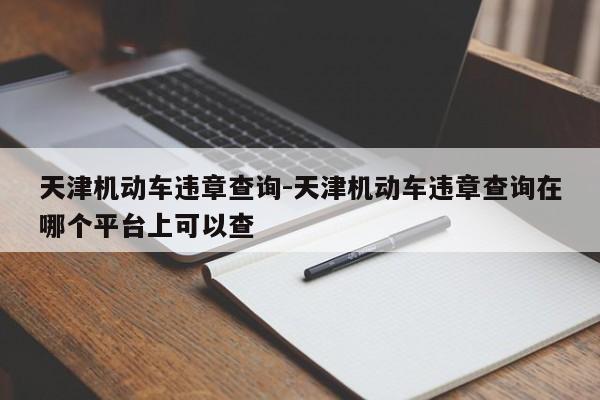 天津机动车违章查询-天津机动车违章查询在哪个平台上可以查