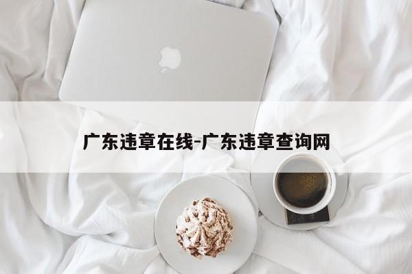 广东违章在线-广东违章查询网