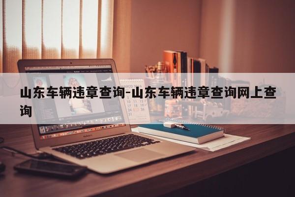 山东车辆违章查询-山东车辆违章查询网上查询