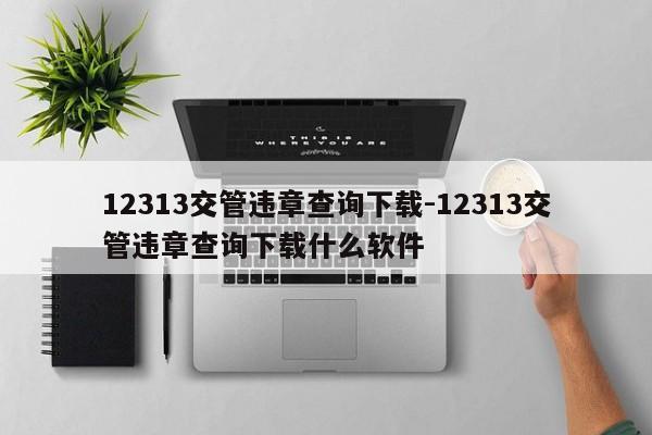 12313交管违章查询下载-12313交管违章查询下载什么软件