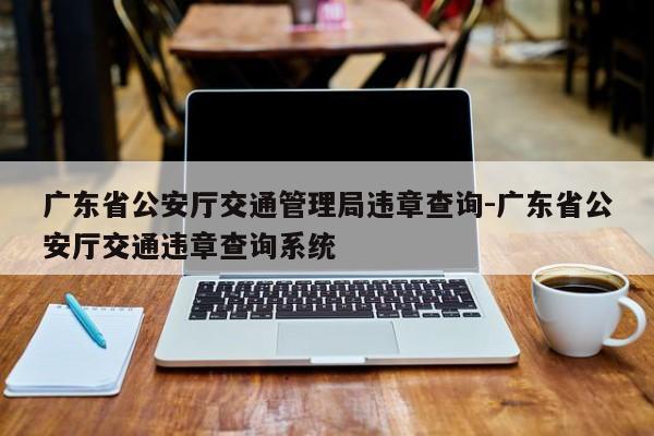 广东省公安厅交通管理局违章查询-广东省公安厅交通违章查询系统