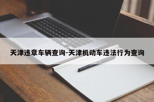 天津违章车辆查询-天津机动车违法行为查询