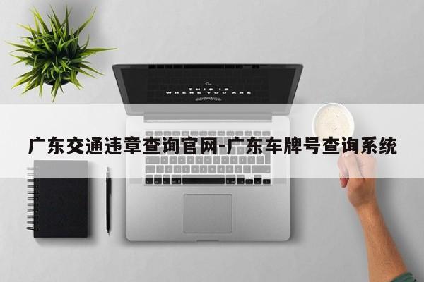 广东交通违章查询官网-广东车牌号查询系统