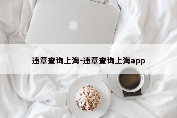 违章查询上海-违章查询上海app