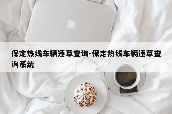 保定热线车辆违章查询-保定热线车辆违章查询系统