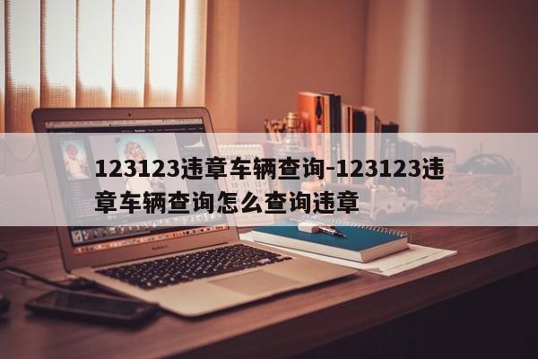 123123违章车辆查询-123123违章车辆查询怎么查询违章